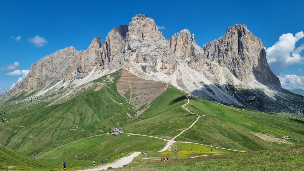 شقة Cesa Pier Sellaronda Dolomiti كامبيتيلو دي فاسا المظهر الخارجي الصورة